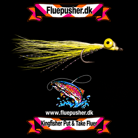 Yellow deep minnow
