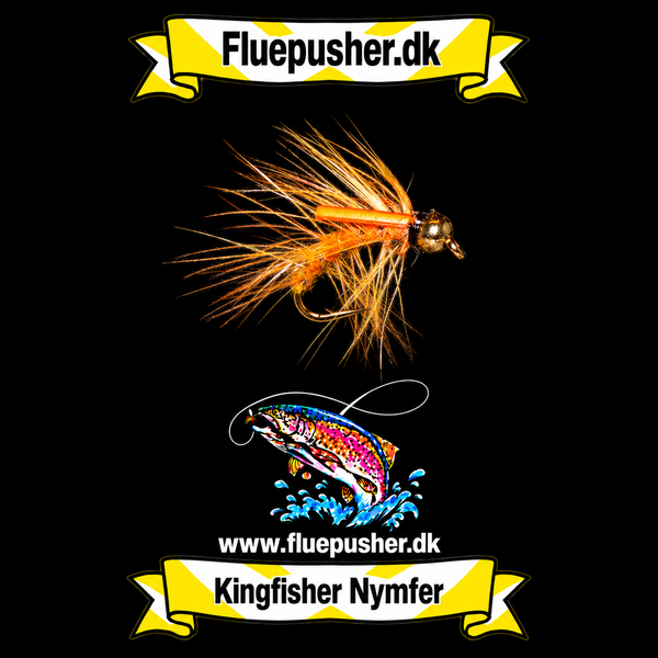 Yellow Snatcher – Kingfisher Nymfer