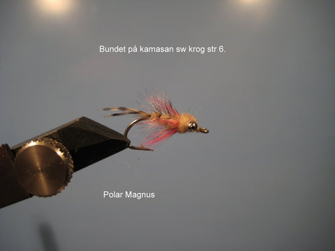 Polar Magnus mini