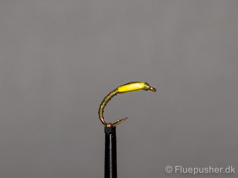 Olive copper wirerib yellow cheek buzzer