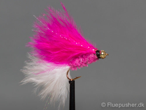 Pink white tail cats whisker