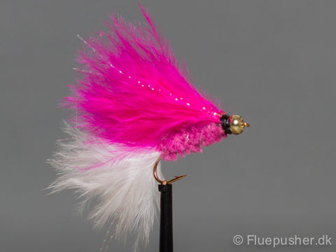 Pink white tail cats whisker