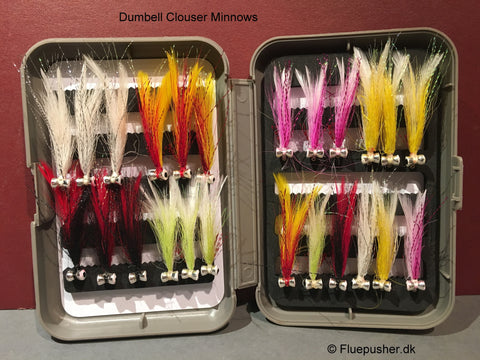 Dumbell Clouser Minnows