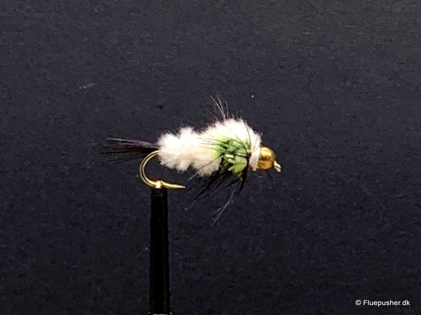Chartreuse White Montana gh