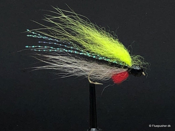 Silver wing chartreuse