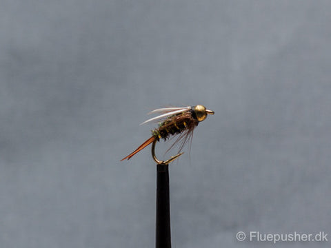 Fly former known as prince variant