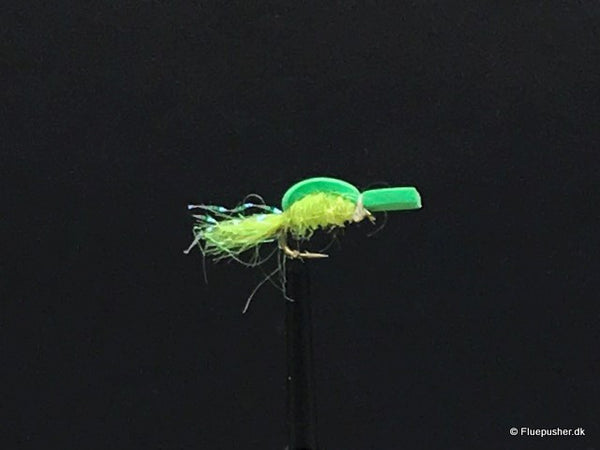 Gelber Schwanz, grüner Insektenschaum