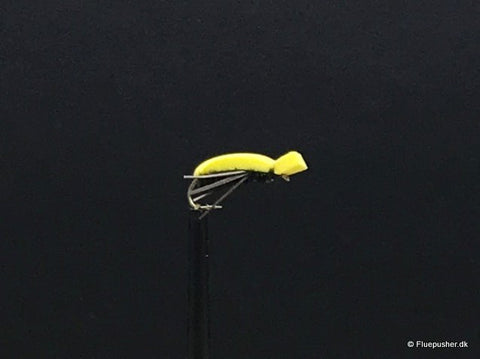Yellow beetle