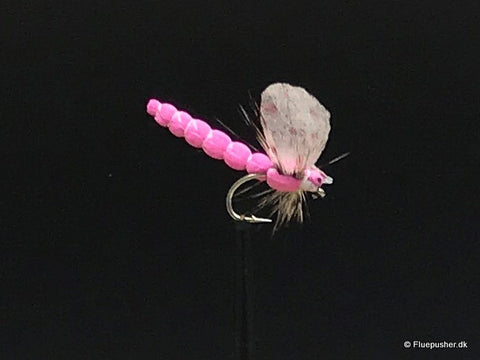 Rosafarbener Libellenschaum