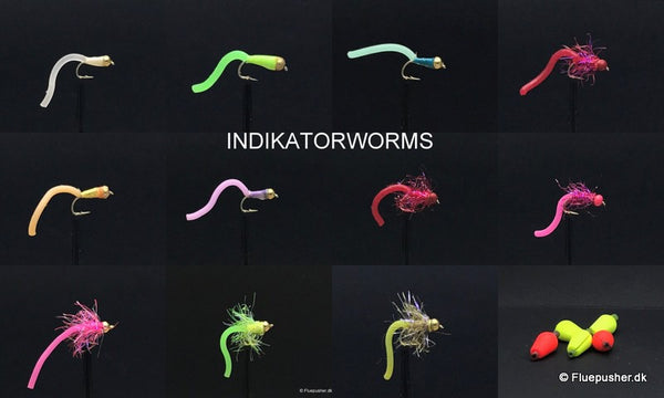 Indikatorworms-Nyheder