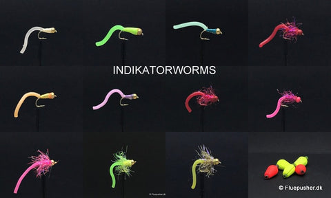Indicatorworms-Neuigkeiten